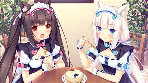 steam nekopara|NEKOPARA Vol. 1 .